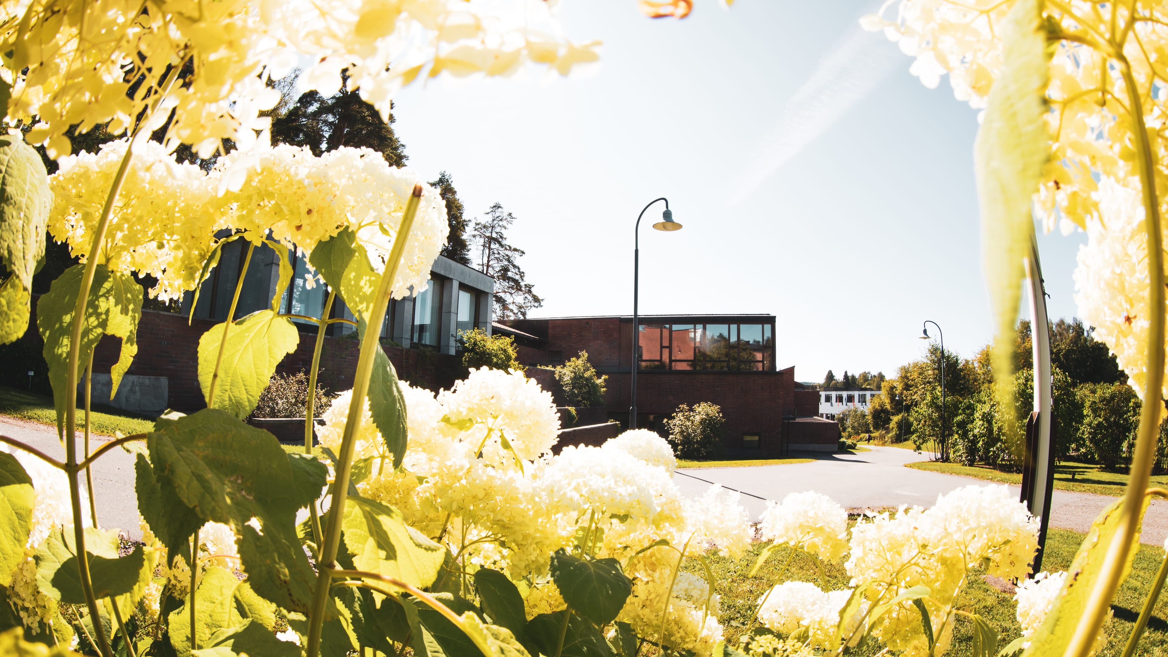 Jyväskylän yliopisto