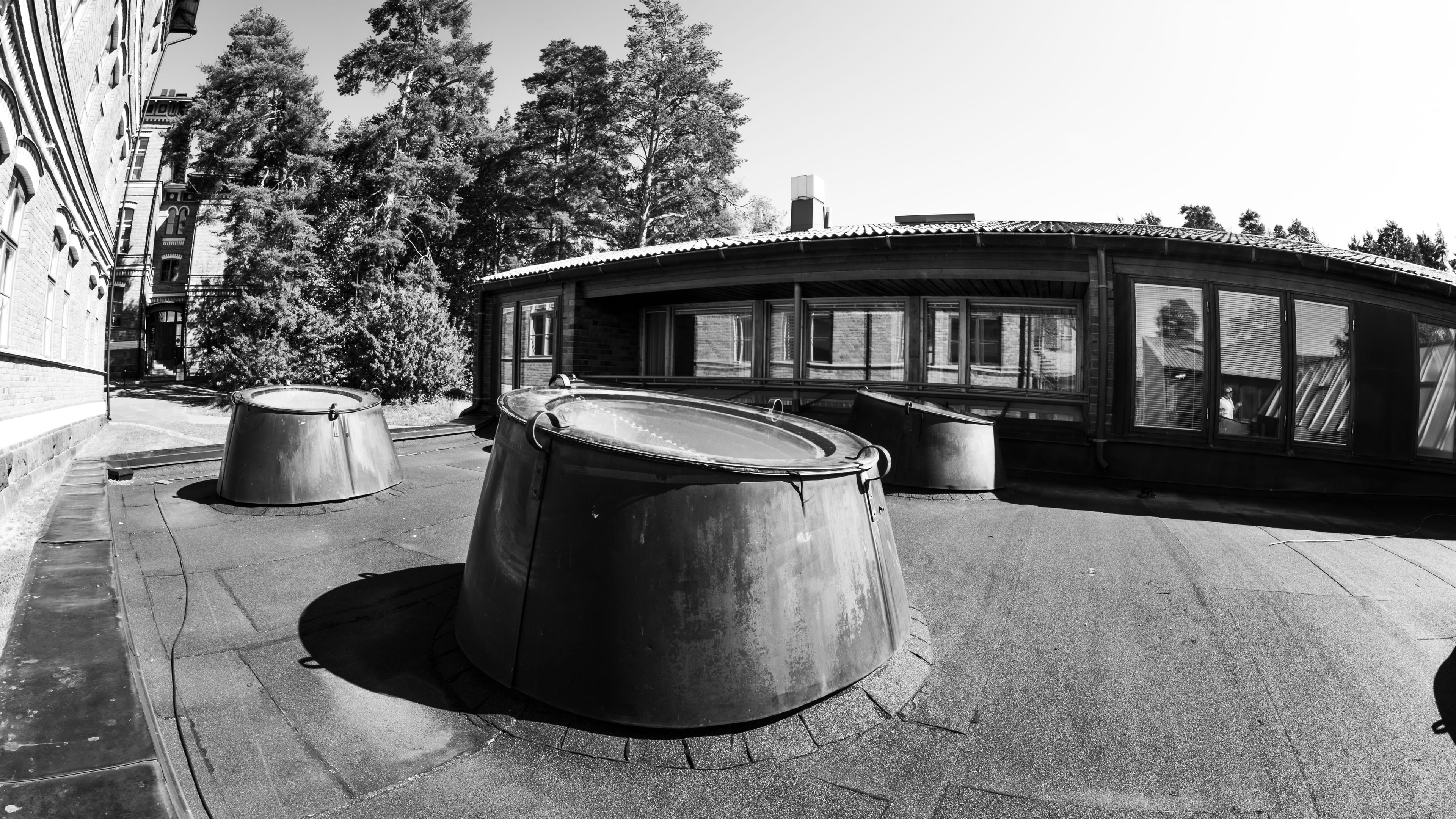 Jyväskylän yliopisto