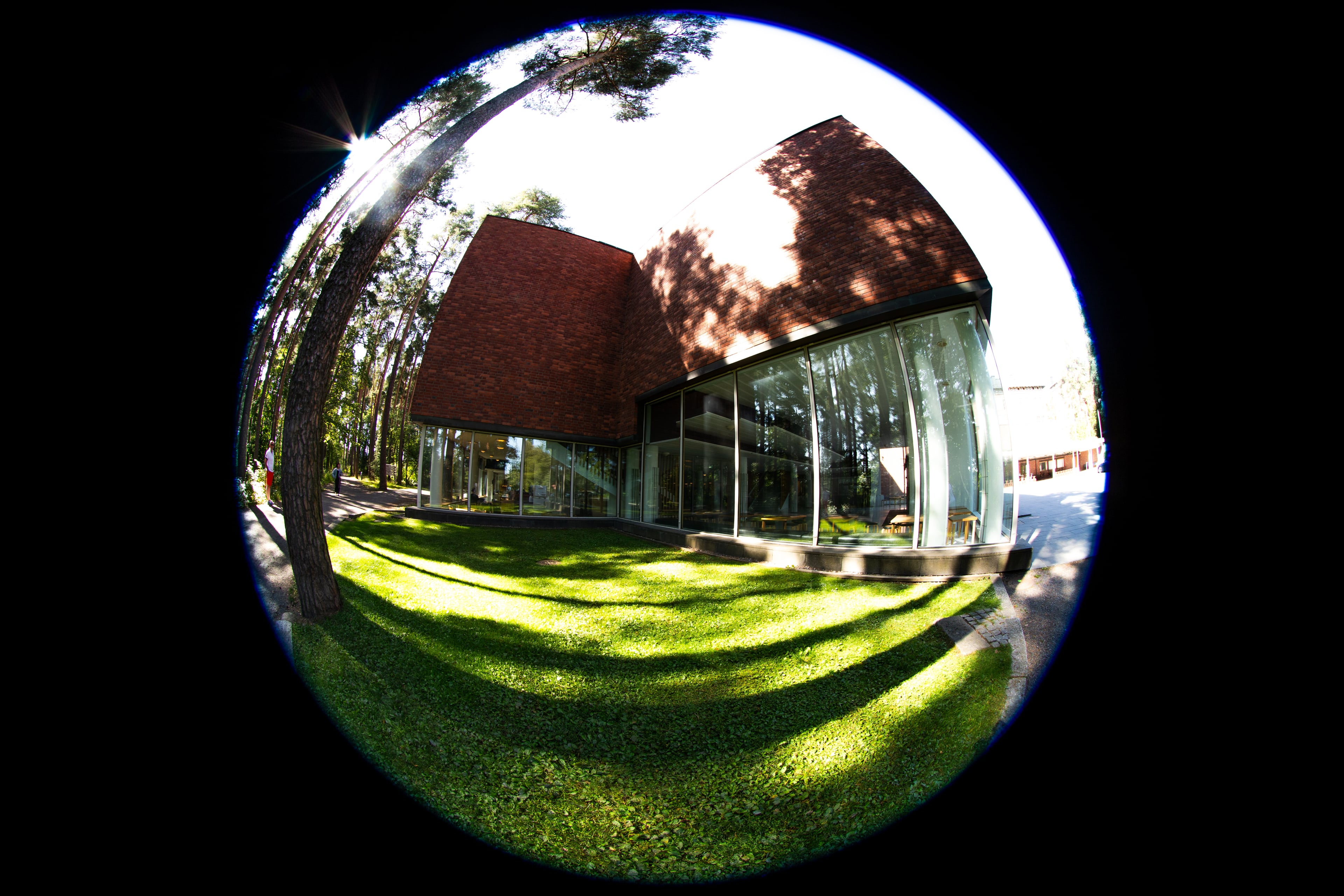 Jyväskylän yliopisto