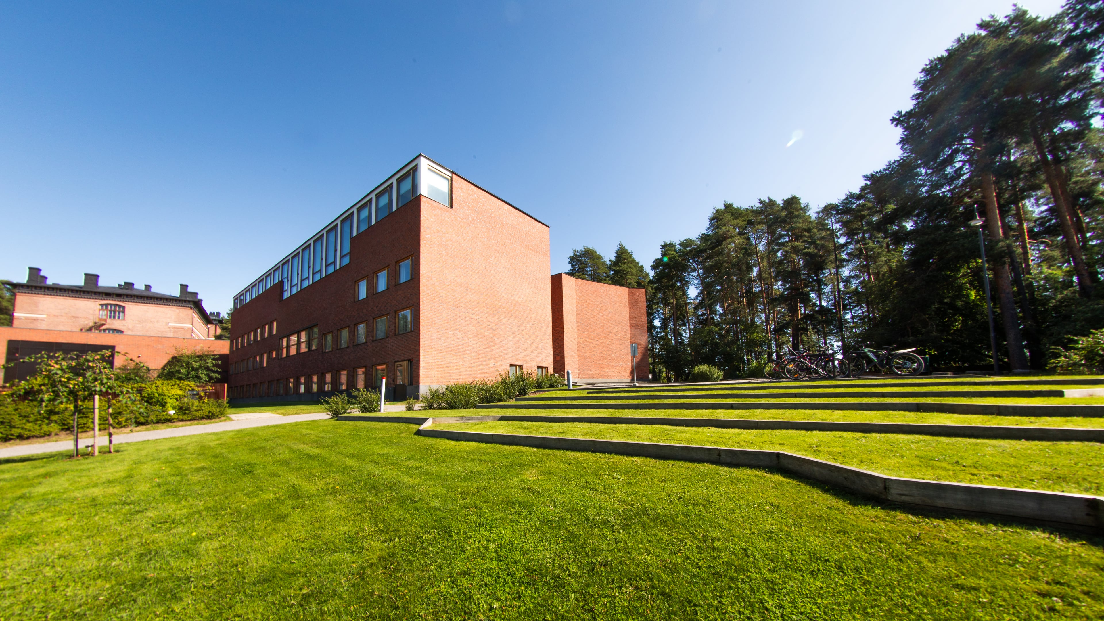 Jyväskylän yliopisto