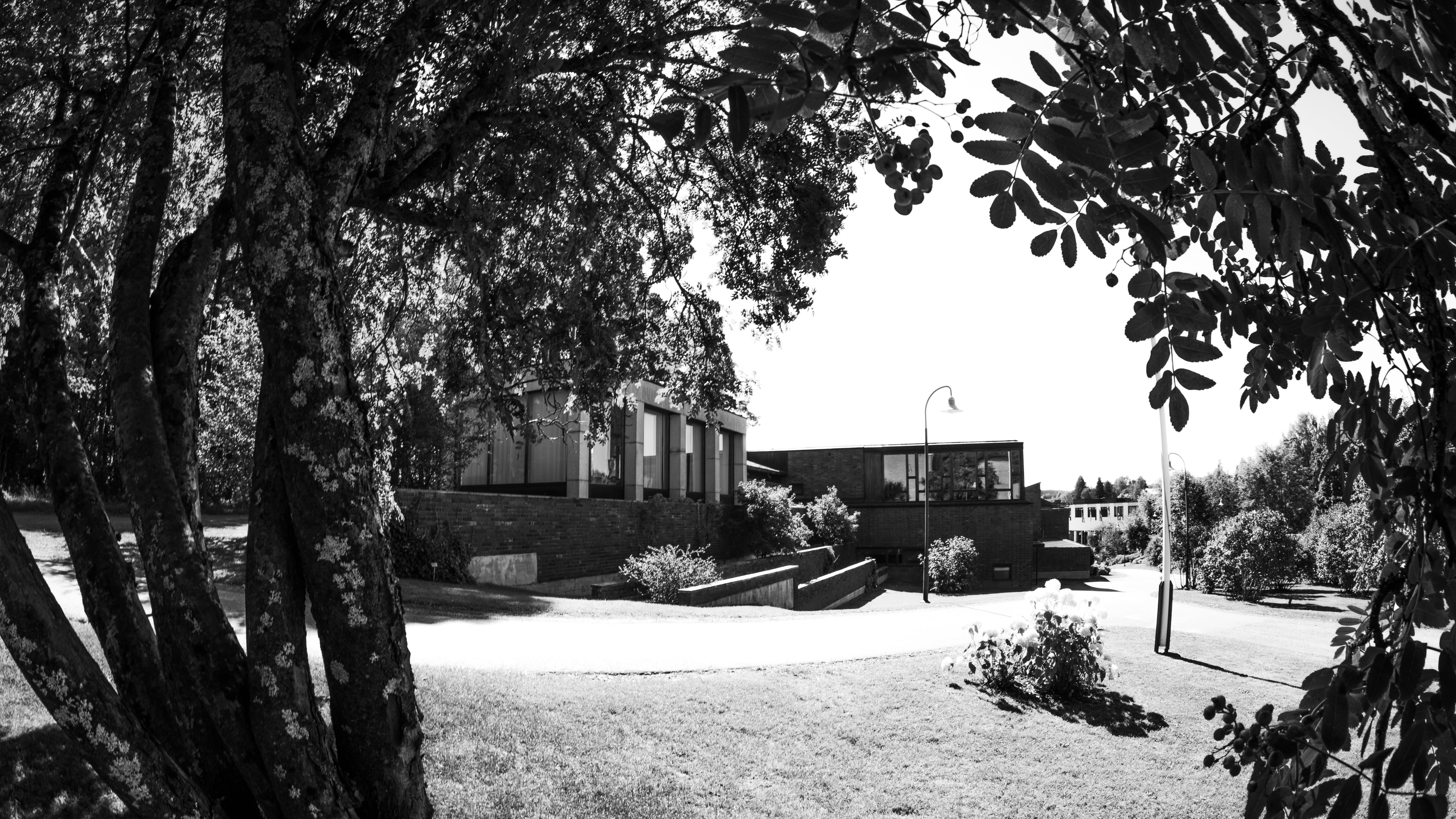 Jyväskylän yliopisto