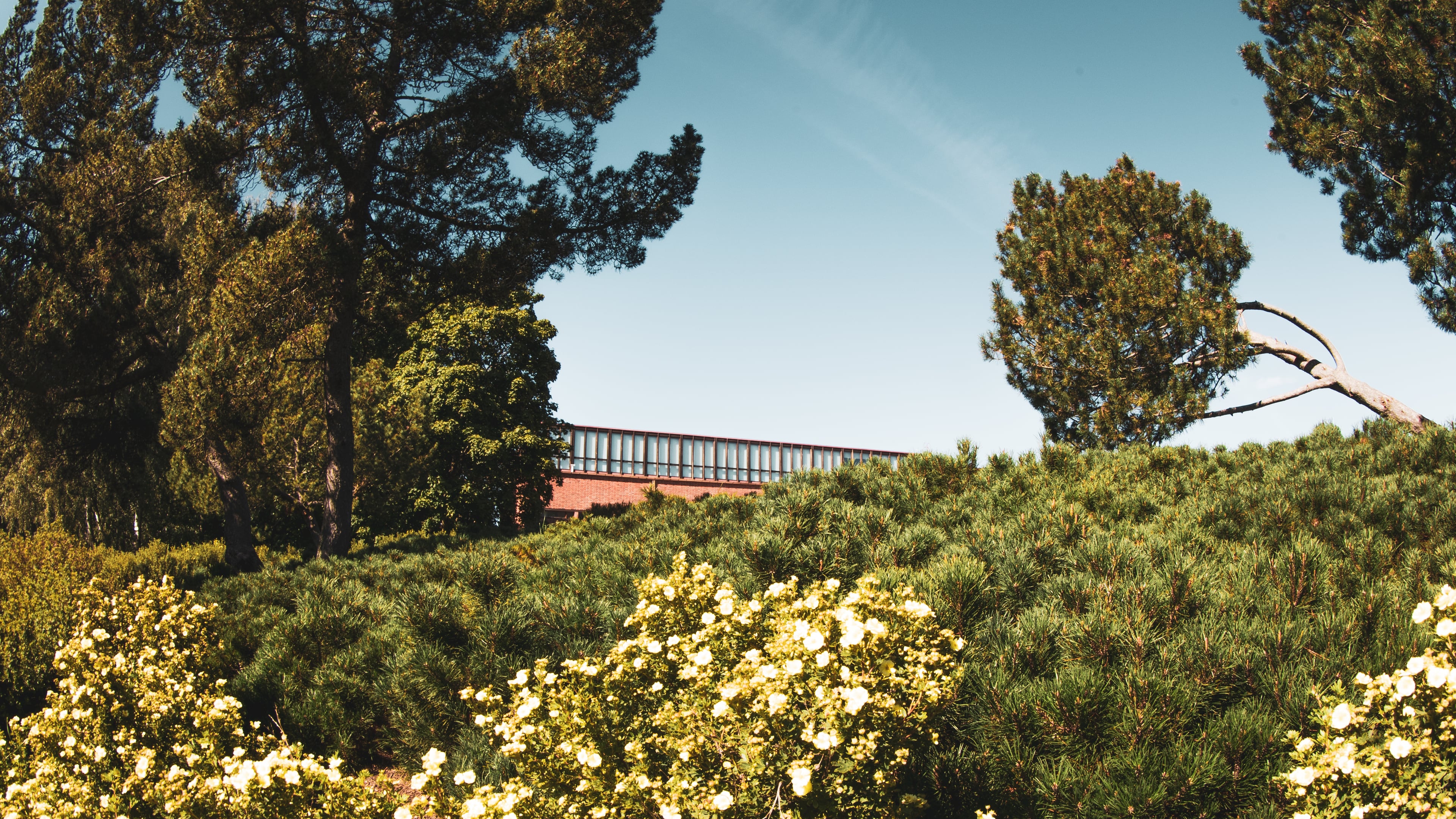 Jyväskylän yliopisto