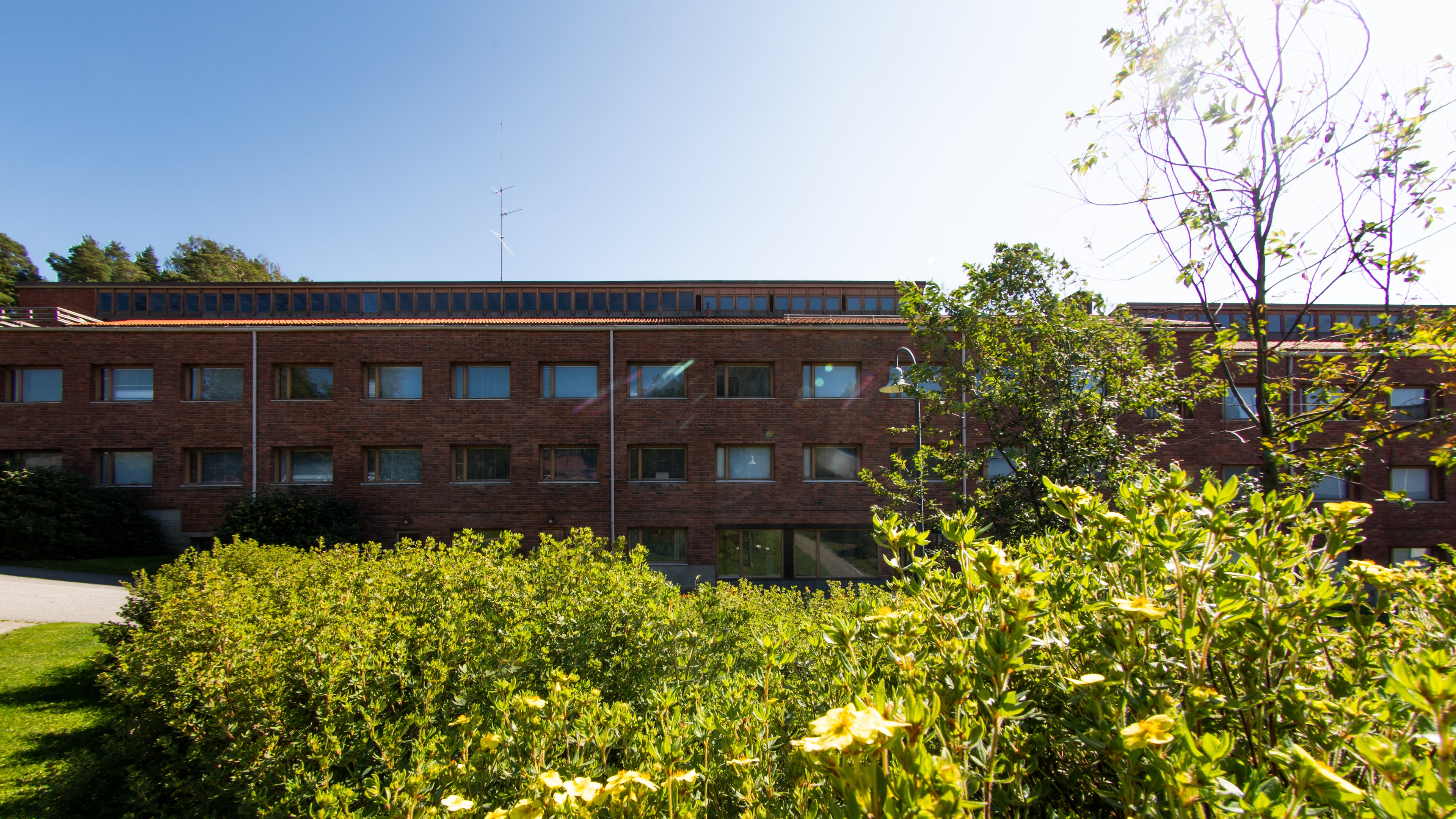 Jyväskylän yliopisto