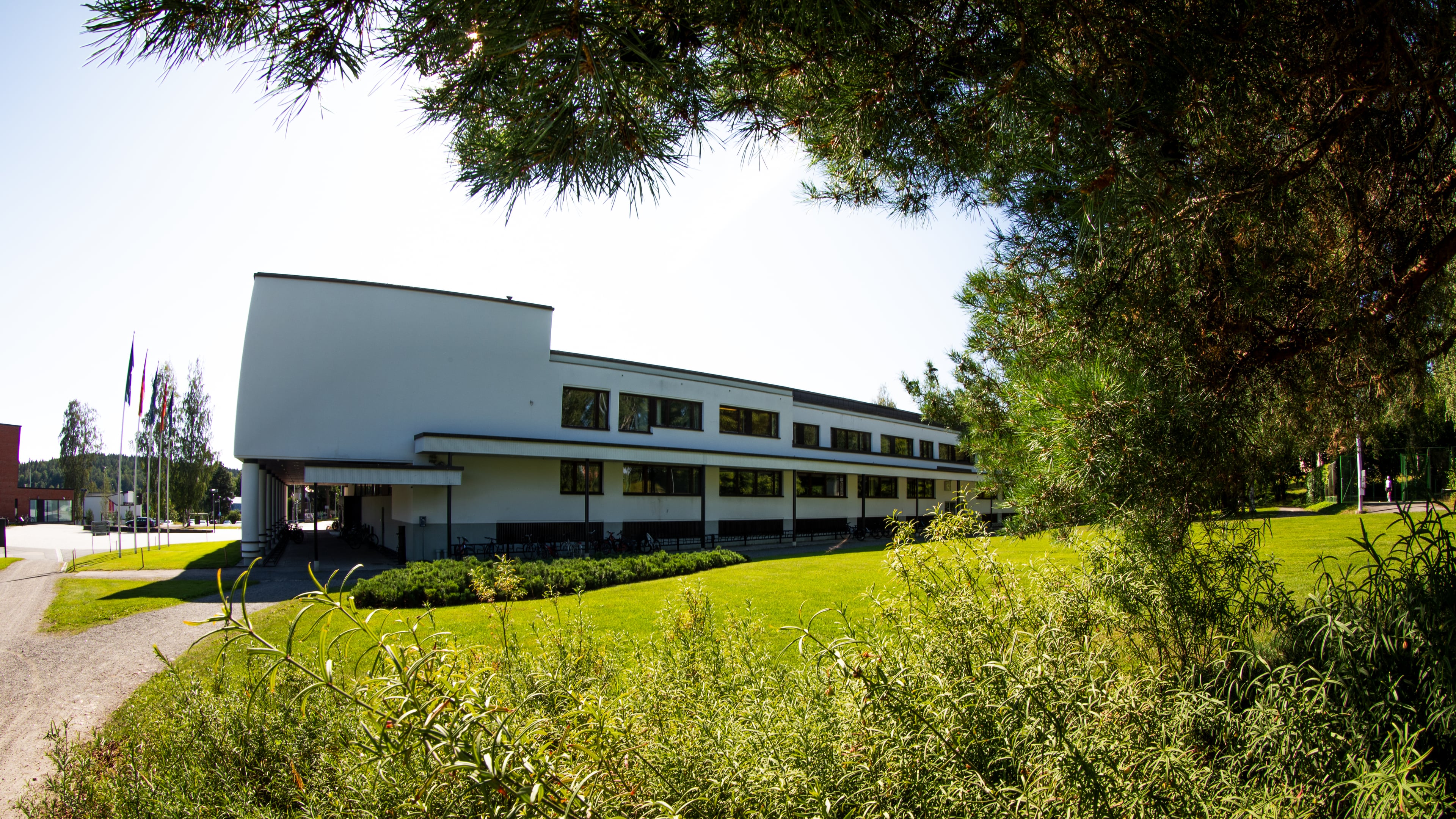 Jyväskylän yliopisto