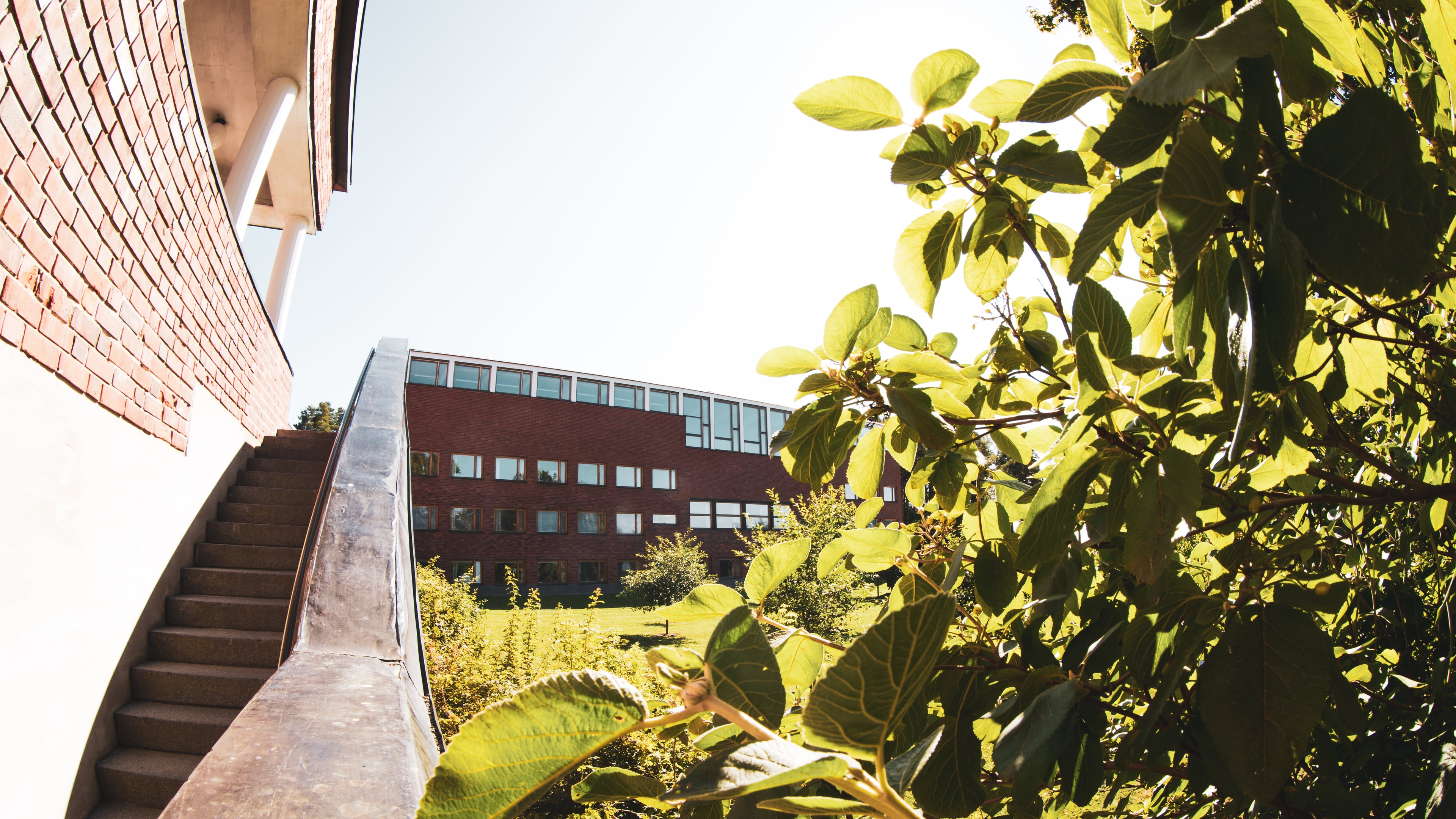 Jyväskylän yliopisto