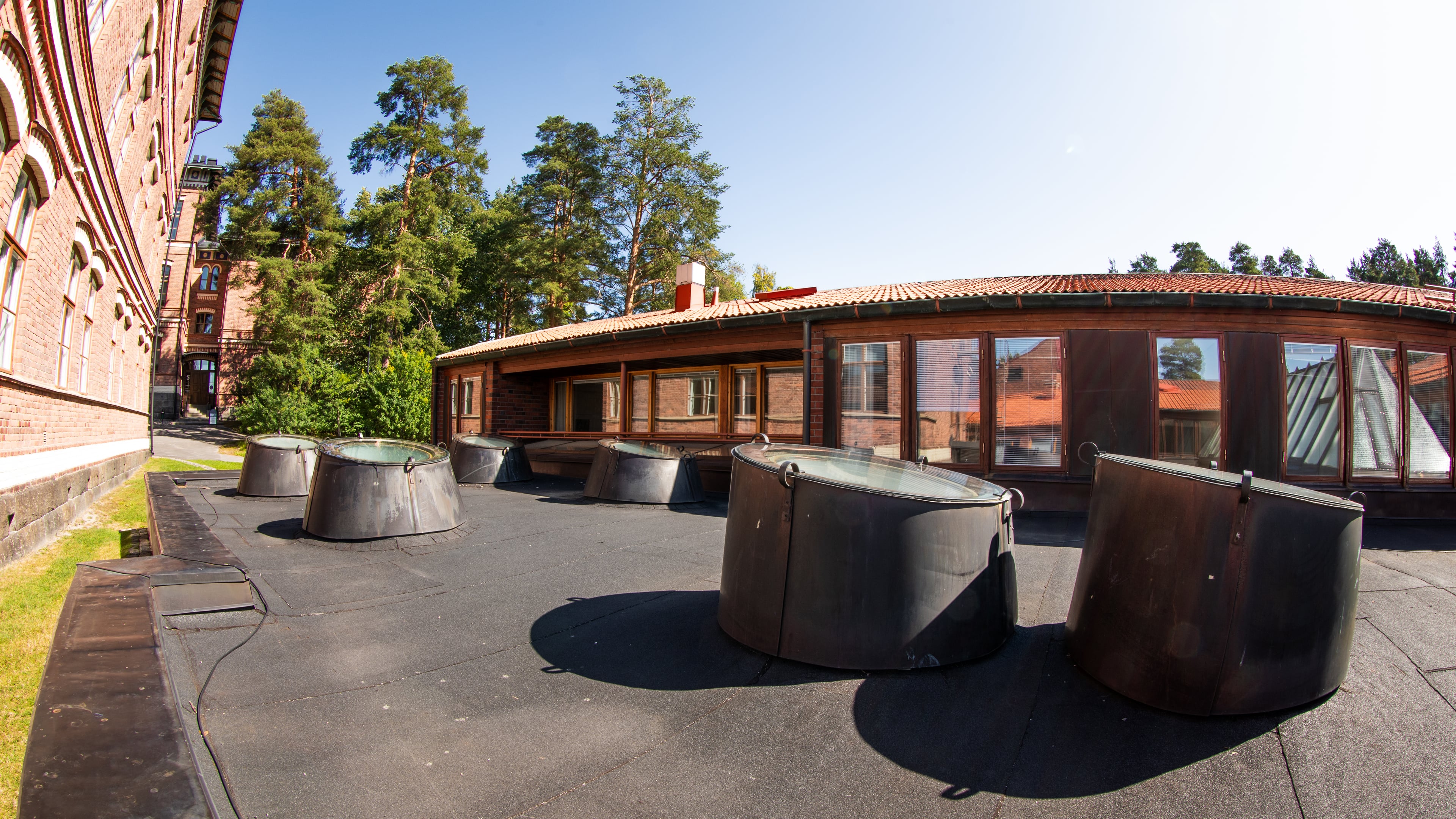 Jyväskylän yliopisto