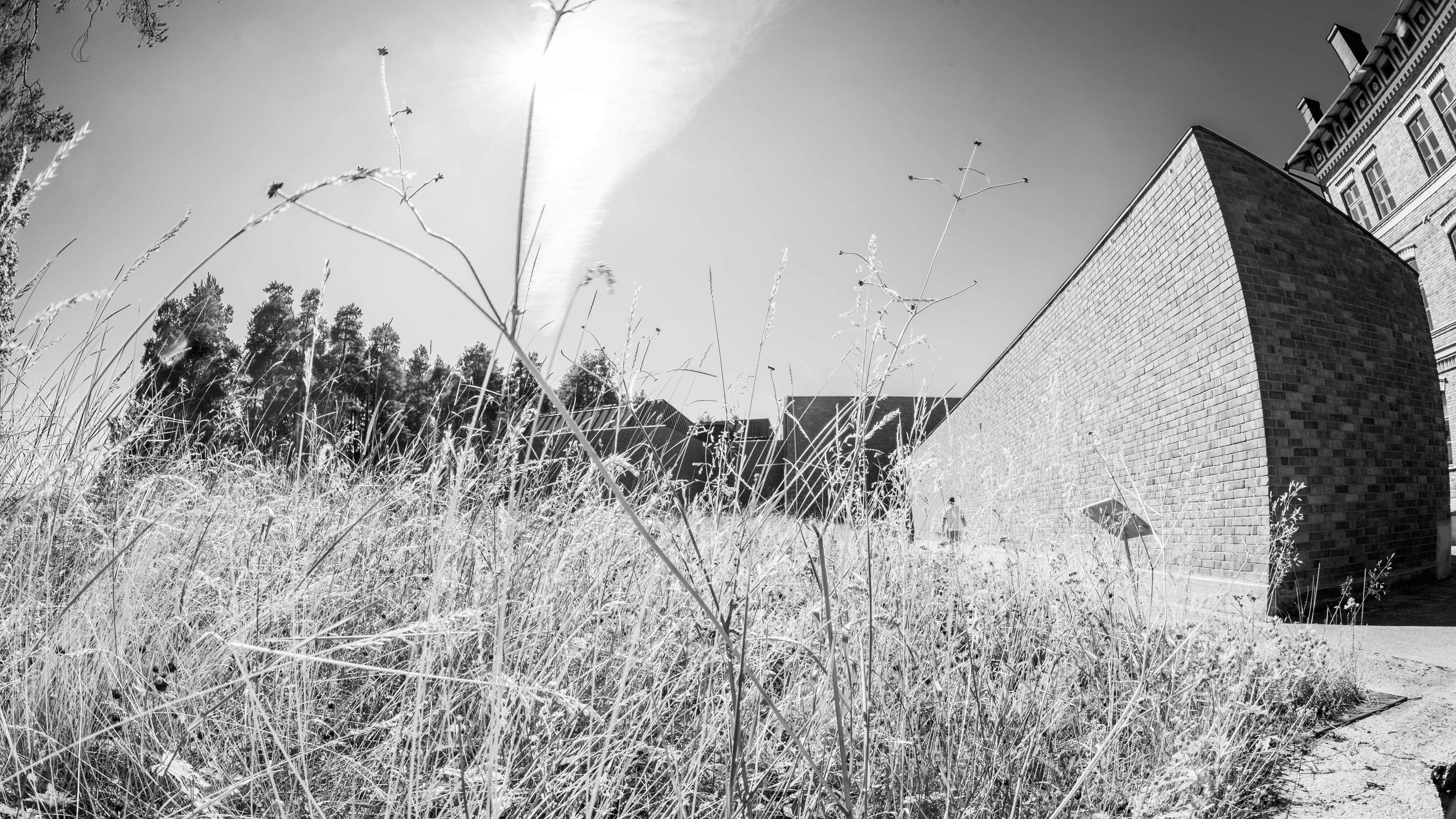 Jyväskylän yliopisto